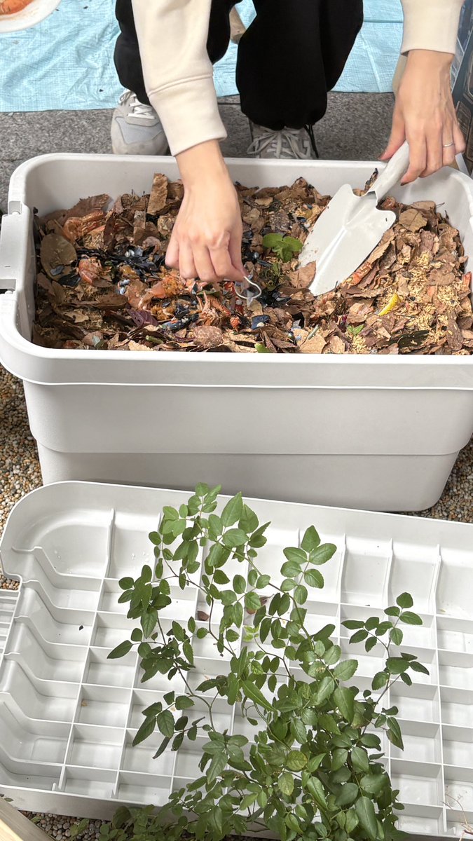 sum7hope's tweet image. サーキュラーステーションでは細かくゴミの分類されるんだけど、ムール貝の殻はお客さんに足で踏んでもらったりトンカチでたたいてもらって細かく砕いたものが肥料に使われてた！
 #melc2025