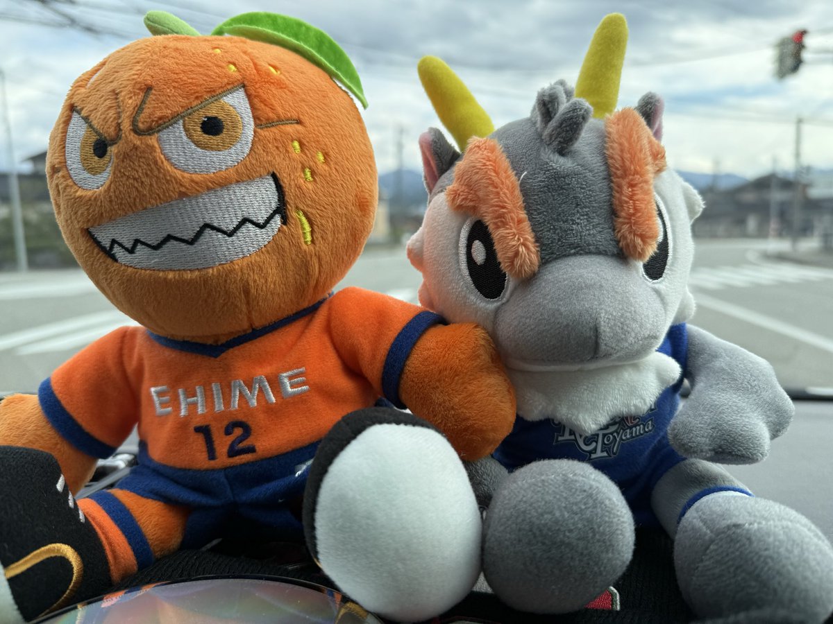 たぬきち　no3 たぬきちhiroyuki.m (@yav4BhvG05LiWcm) / Posts / X