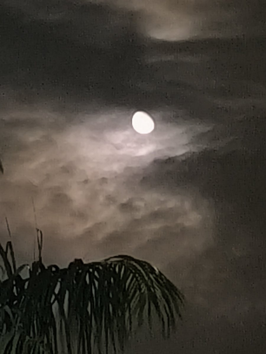 The moon and the fog