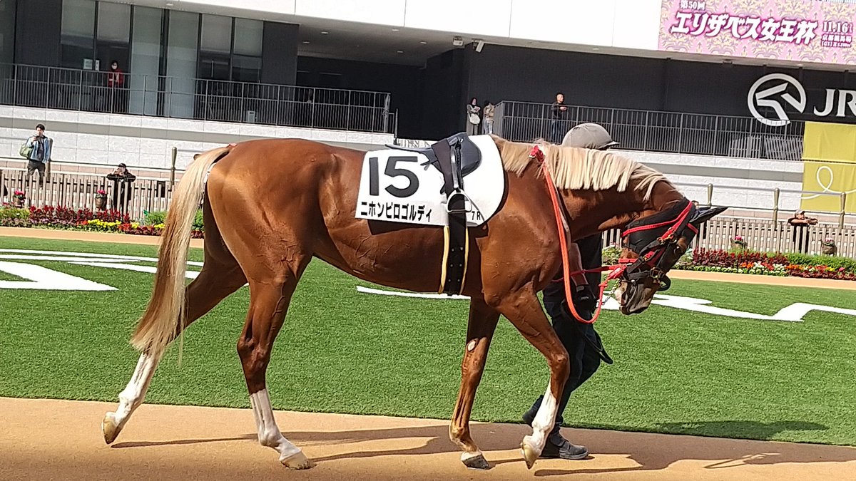 た〜@⊂ﾟ＾┬───┬ on X