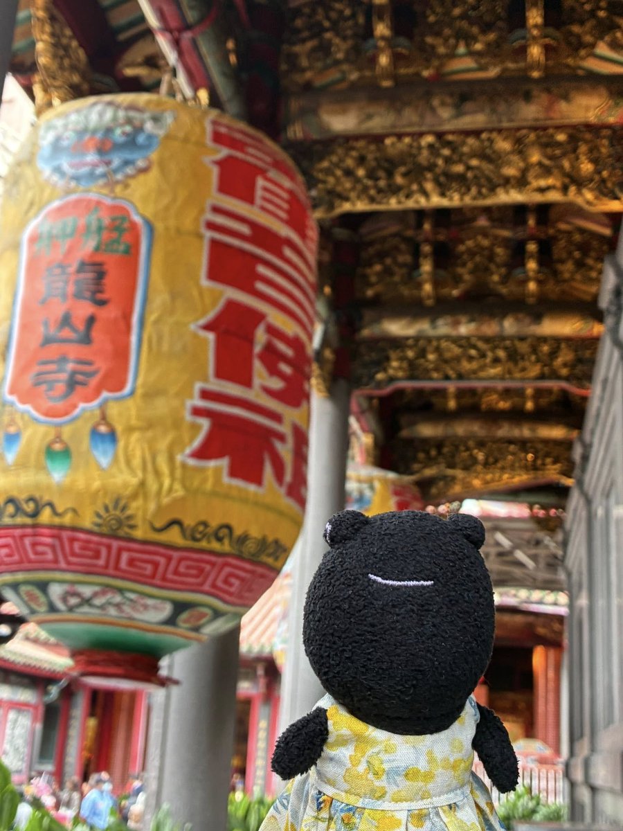 Yoshida_Yoshino（吉田佳乃） (@yoshino_yoshida) / Posts / X