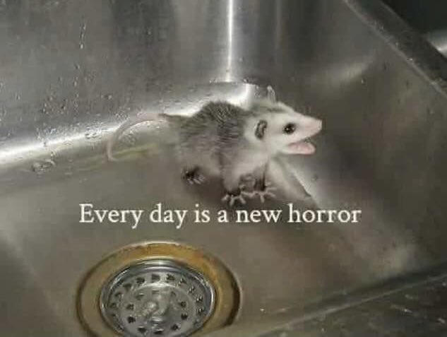 brianne. (@missbriannie) on Twitter photo 