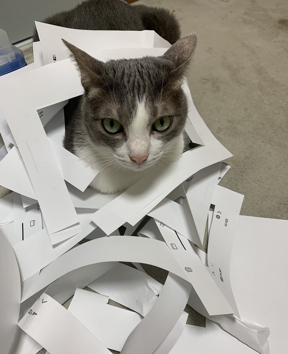 HiNo pixy＊ (@HiNo_pixy) / Posts / X