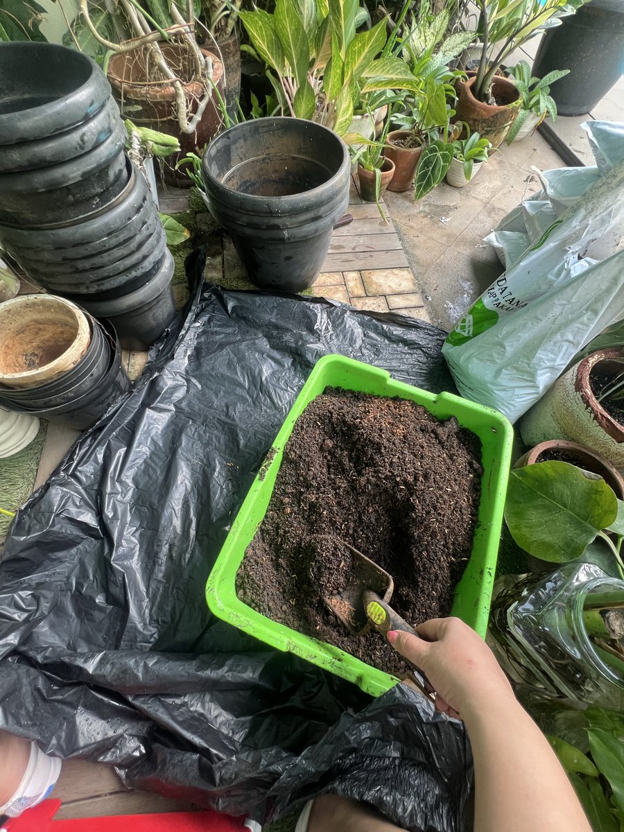 Baru 8 pot udah ngos-ngosan. Panas banget sih ya.
Long way to go Mbak...semangat..💪💪💪