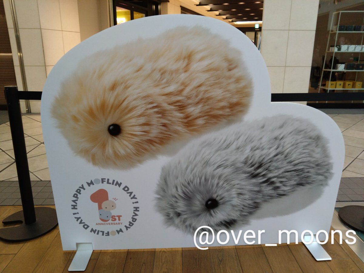 過月 (@over_moons) / Posts / X