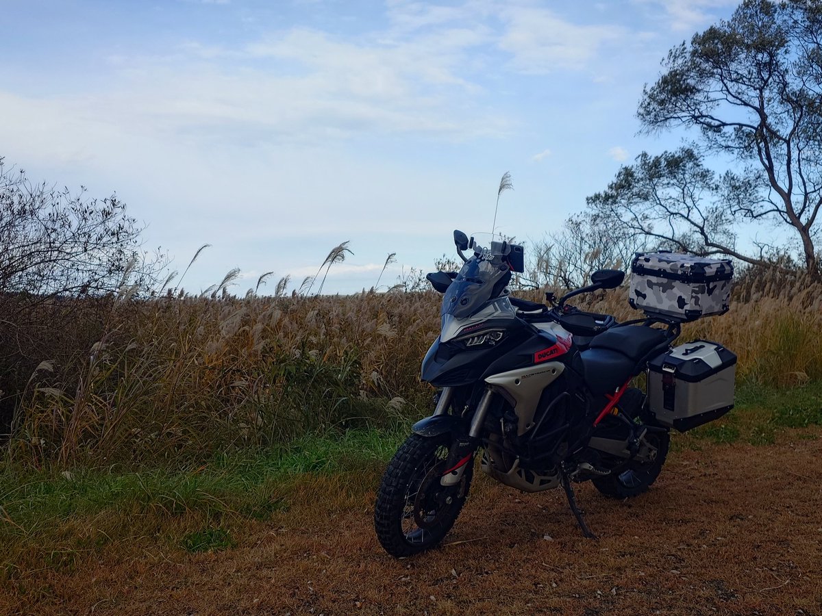 ジジページ ジジ on X