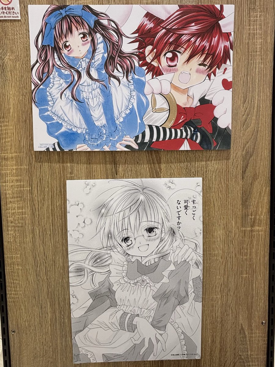 好きです鈴木くん