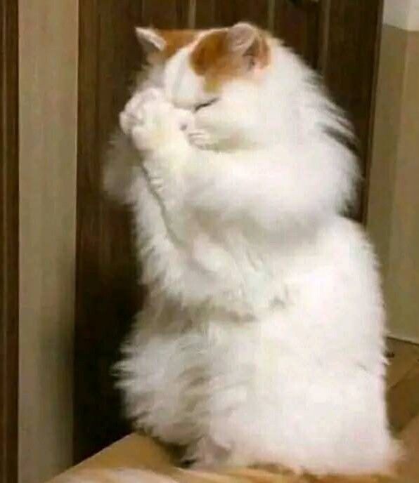 oasisffmm's tweet image. ฟอลเราที เดี๋ยวบอกเลขเด็ดเป็นการตอบแทน แลกฟอลค้าบ ว่างๆ แลกรอเทรนงานเฟเมษ์กัน 
#เมคเฟรนด์เทรนด์เฟเมษ์ 
#FollowForFayMay