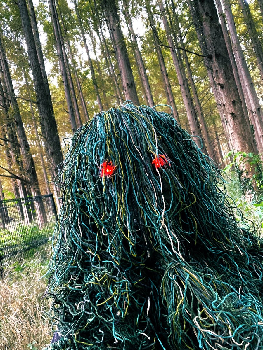 チェロ しおり (@vc_shiori) on Twitter photo 