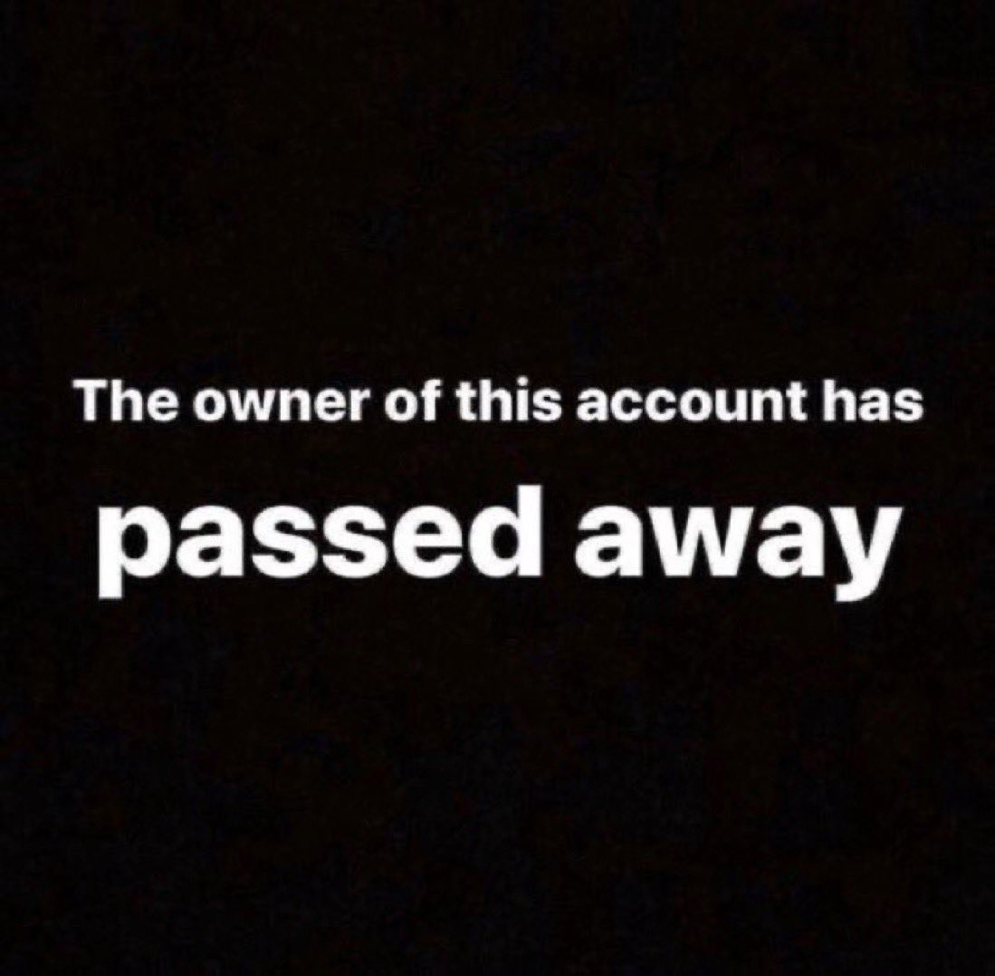 spencer🦕 tweet media