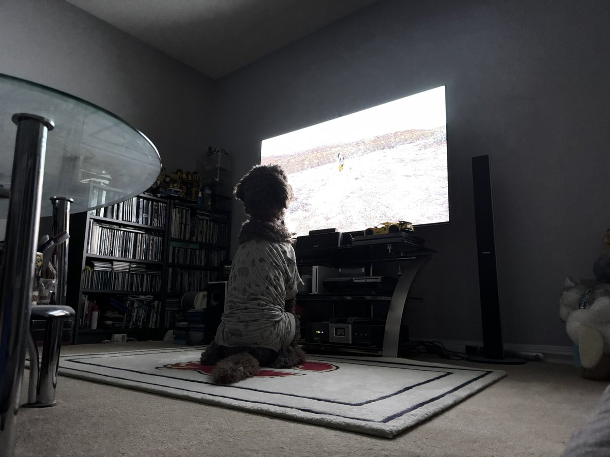 We stayed up for this?! Good season <a href="/BlueJays/">Toronto Blue Jays</a> #spoo #spooinjammies