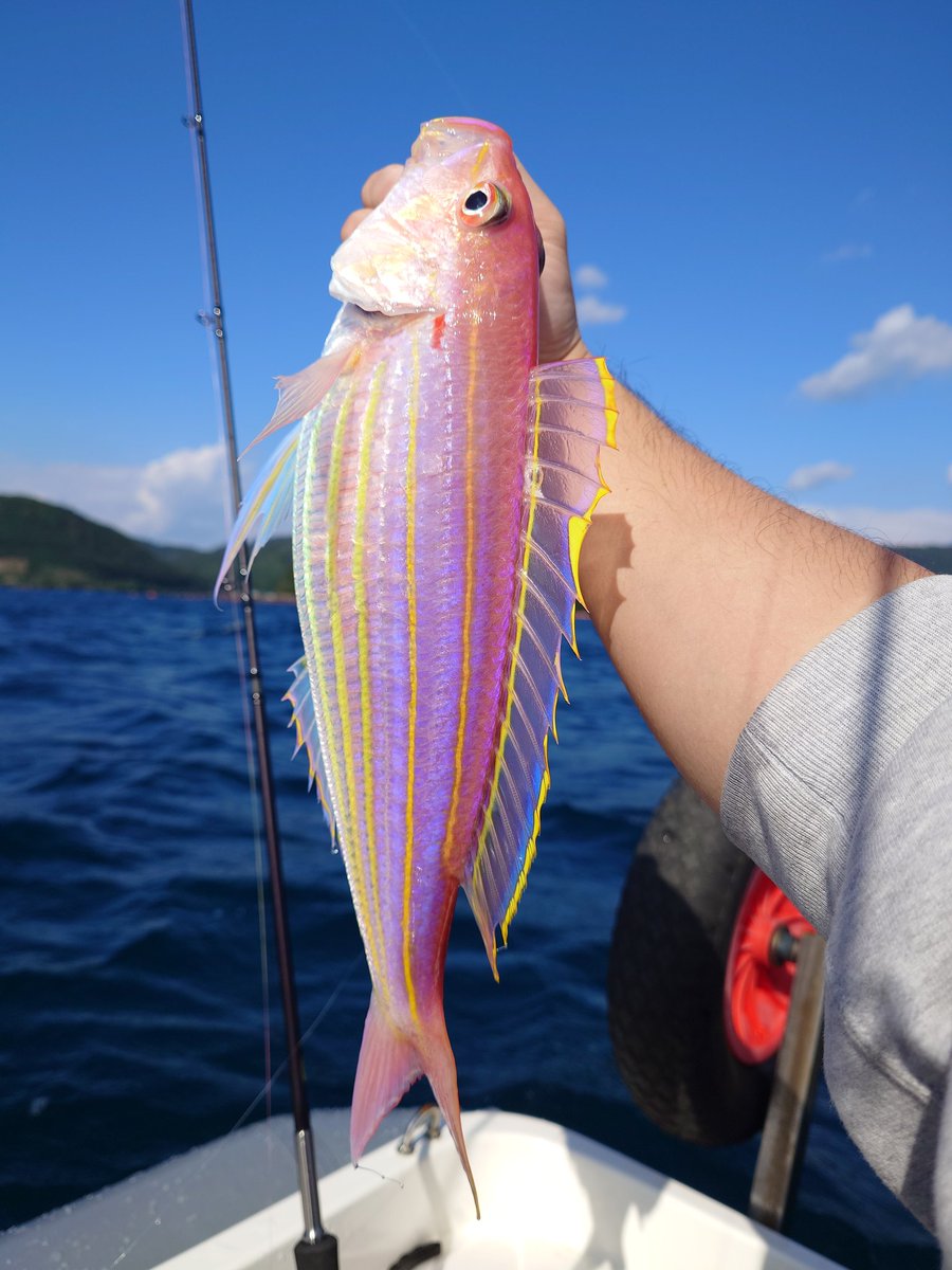 L4the(レース)@VRC on X