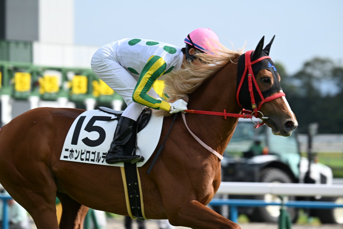 ﾌﾝｷﾞｬﾛ (@fungyaro0323) / Posts / X