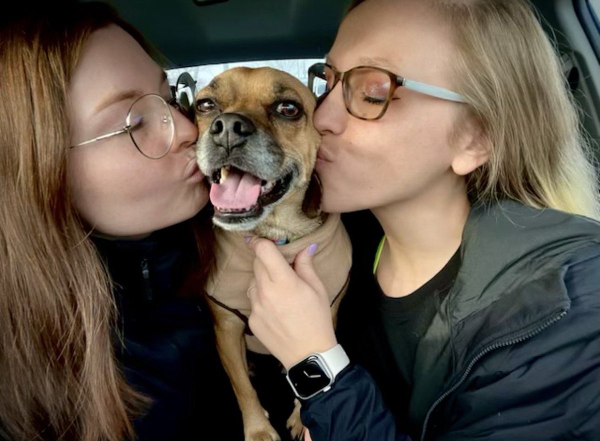 A year ago I married my best friend. Someone who had accepted me for who I am, what I’ve been through and has supported me effortlessly. 

The last year has been one of the most difficult years of my life, and will be hopefully be the last difficult year we face. However, it all