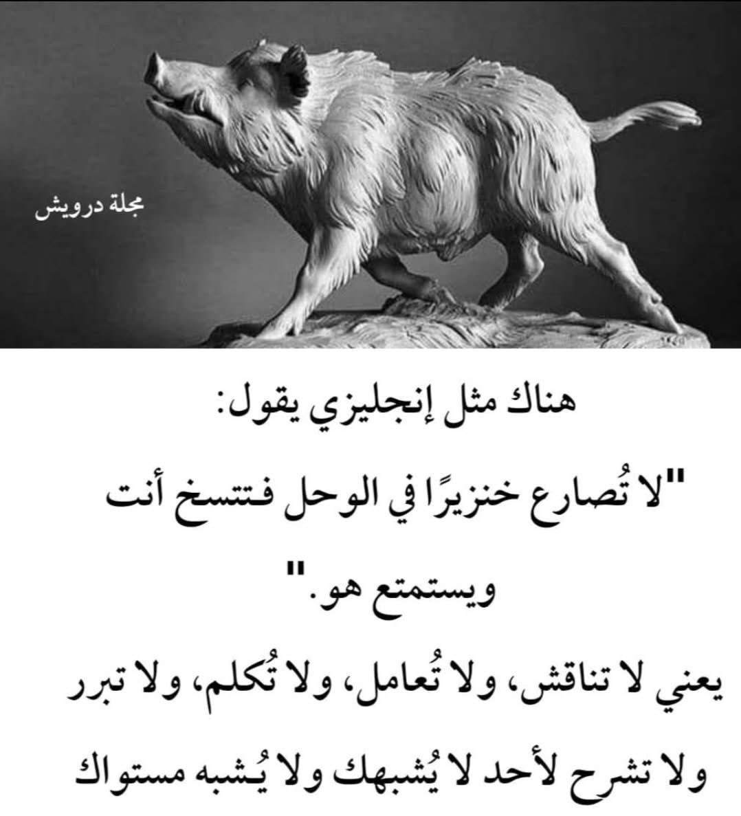 Ayoub Algmasy (@ayoubalgmasy) on Twitter photo 