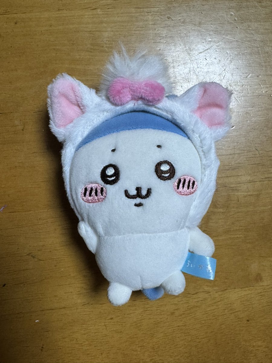 ちぃばぁ・:*+.(( °ω° ))/.:+ (@Chiibadayo) / Posts / X