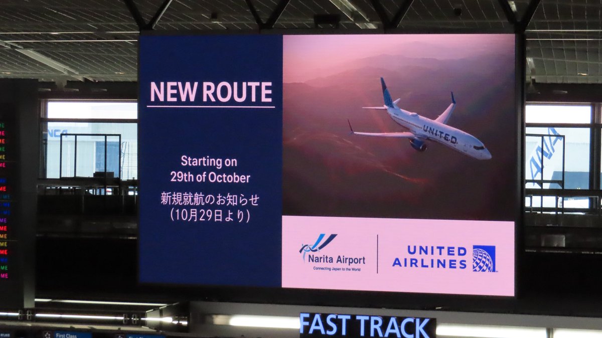 ミキキートス【公式】成田空港、豊洲市場、国会議事堂見学ツアー、修学