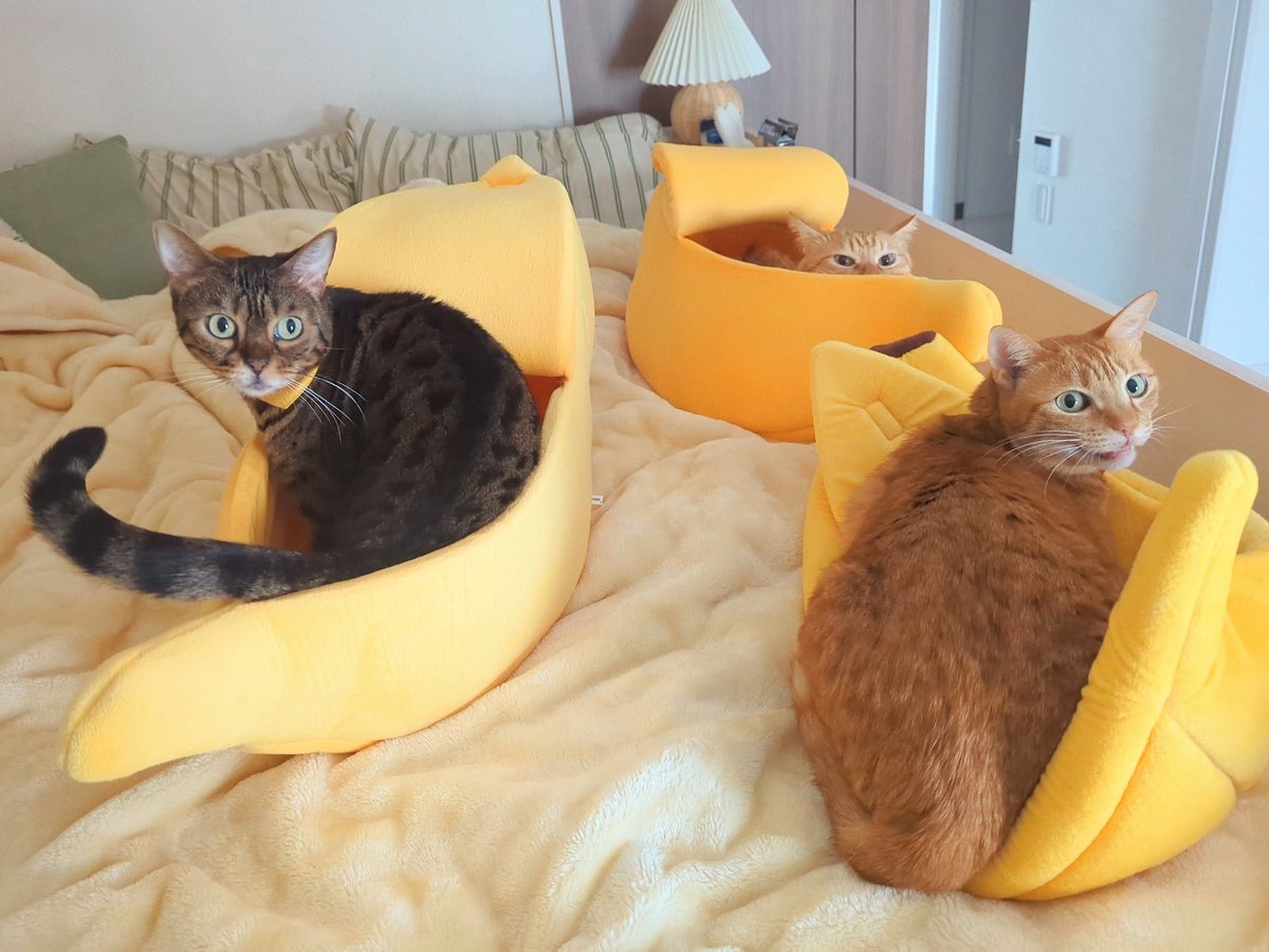 🦦眇眼🦦 (@1954love_hate_) / Posts / X