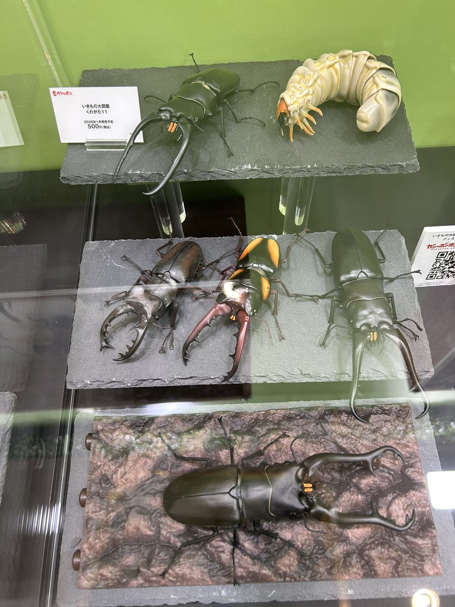 ぎんじろう 三浦二郎 on X