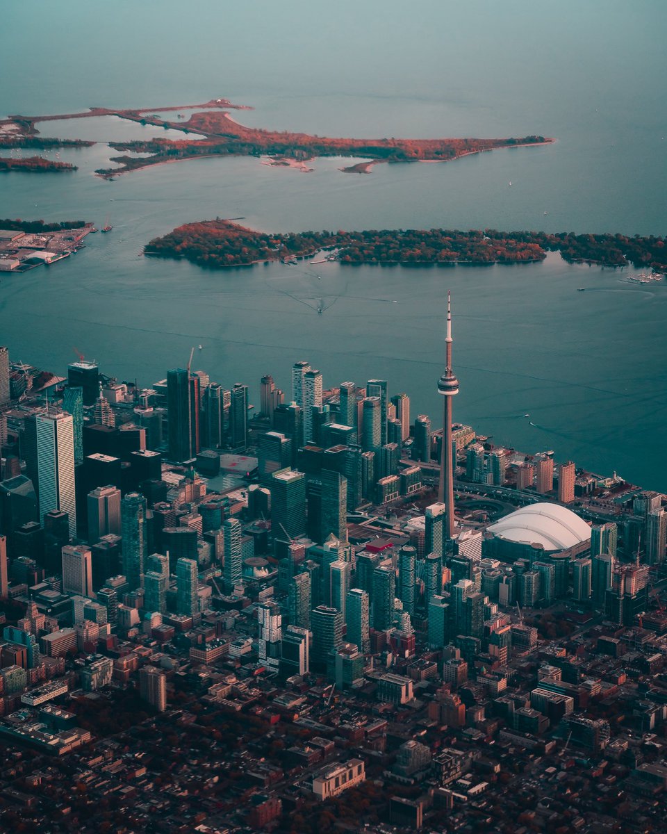 JimenezzVi's tweet photo. You made Canada proud Toronto. 🐦🇨🇦 https://t.co/eHJr5ZV7CP