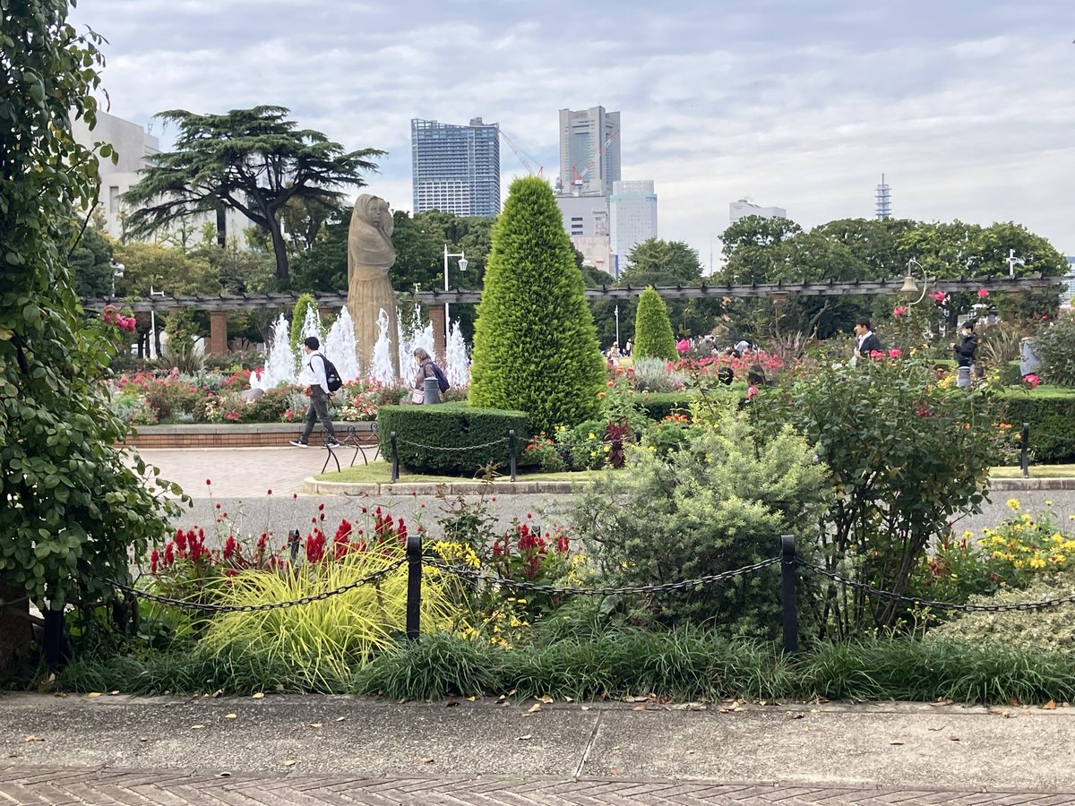 ポポチョロ🐦💨 (@1b4fc39ec9e04d3) / Posts / X