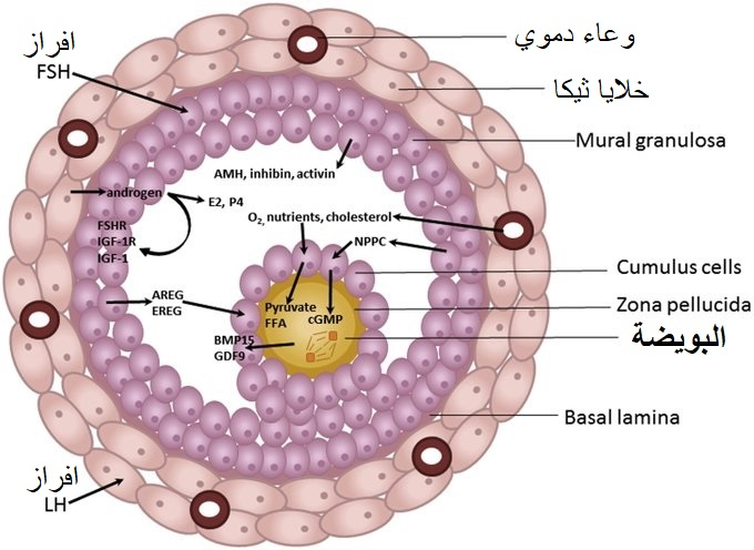 Dr. Bander Kutbi د.بندر كتبي🇸🇦 tweet media