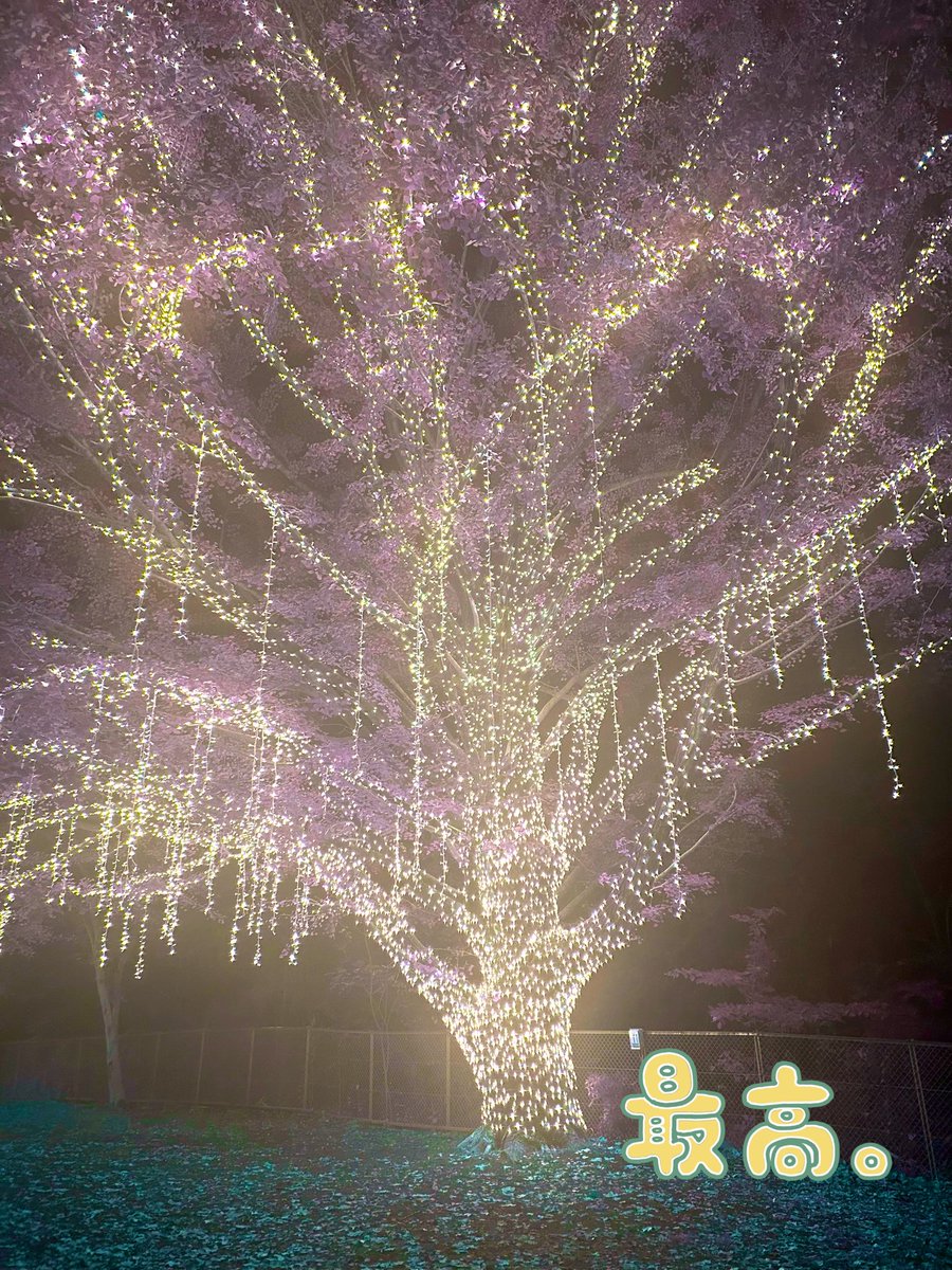 🦋♔~silk~♔🦋 on X