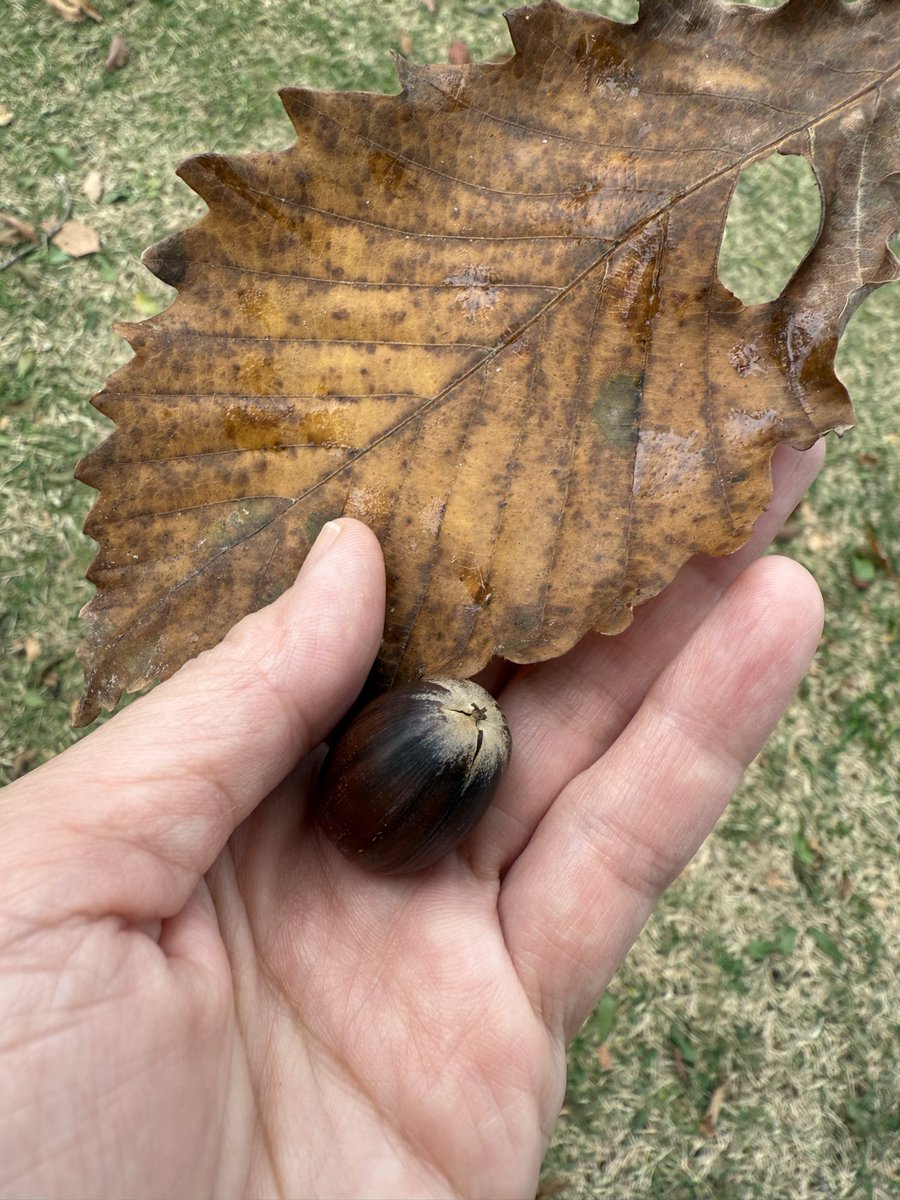 tori (@maritori0501) / Posts / X