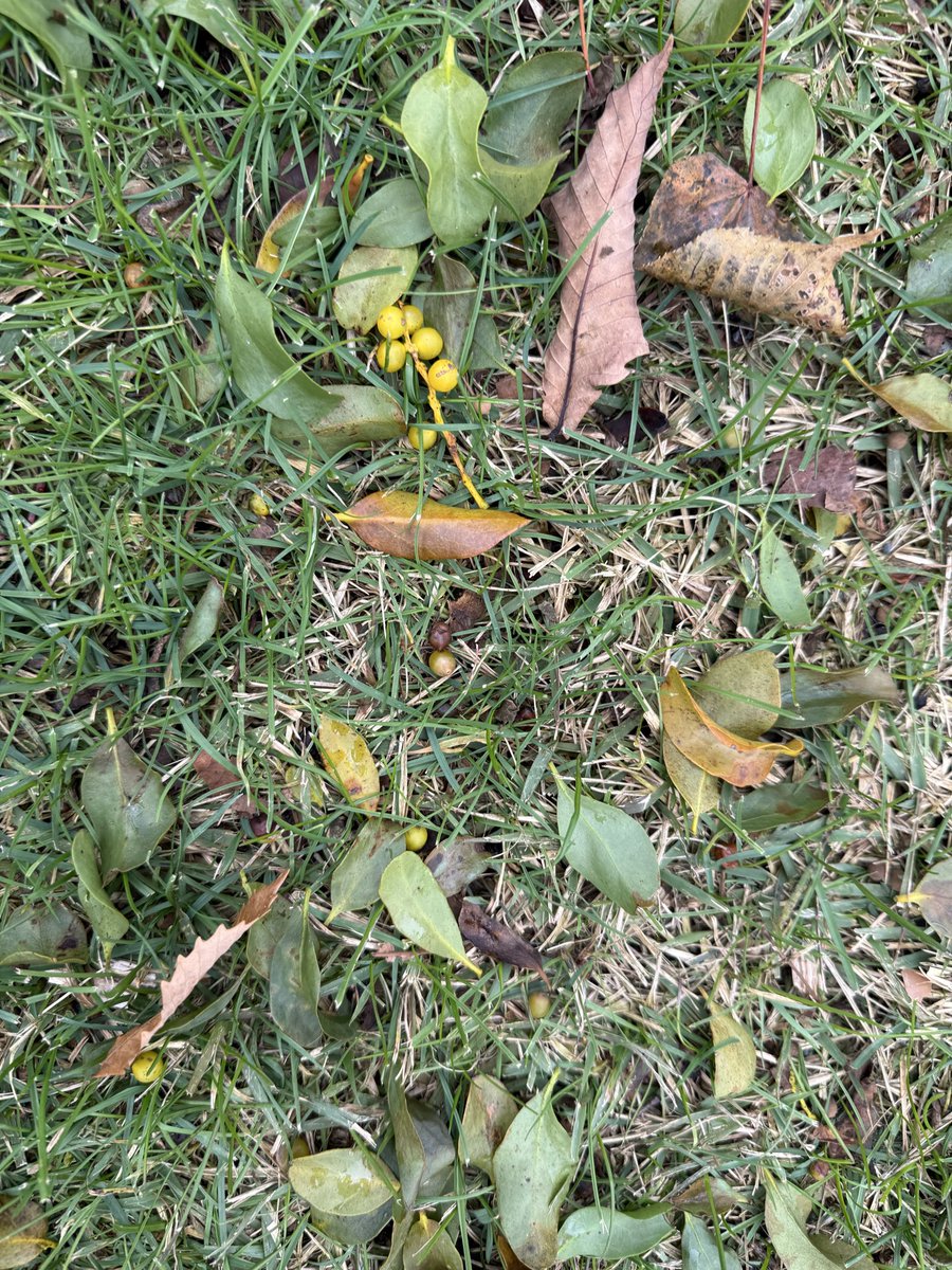 tori (@maritori0501) / Posts / X