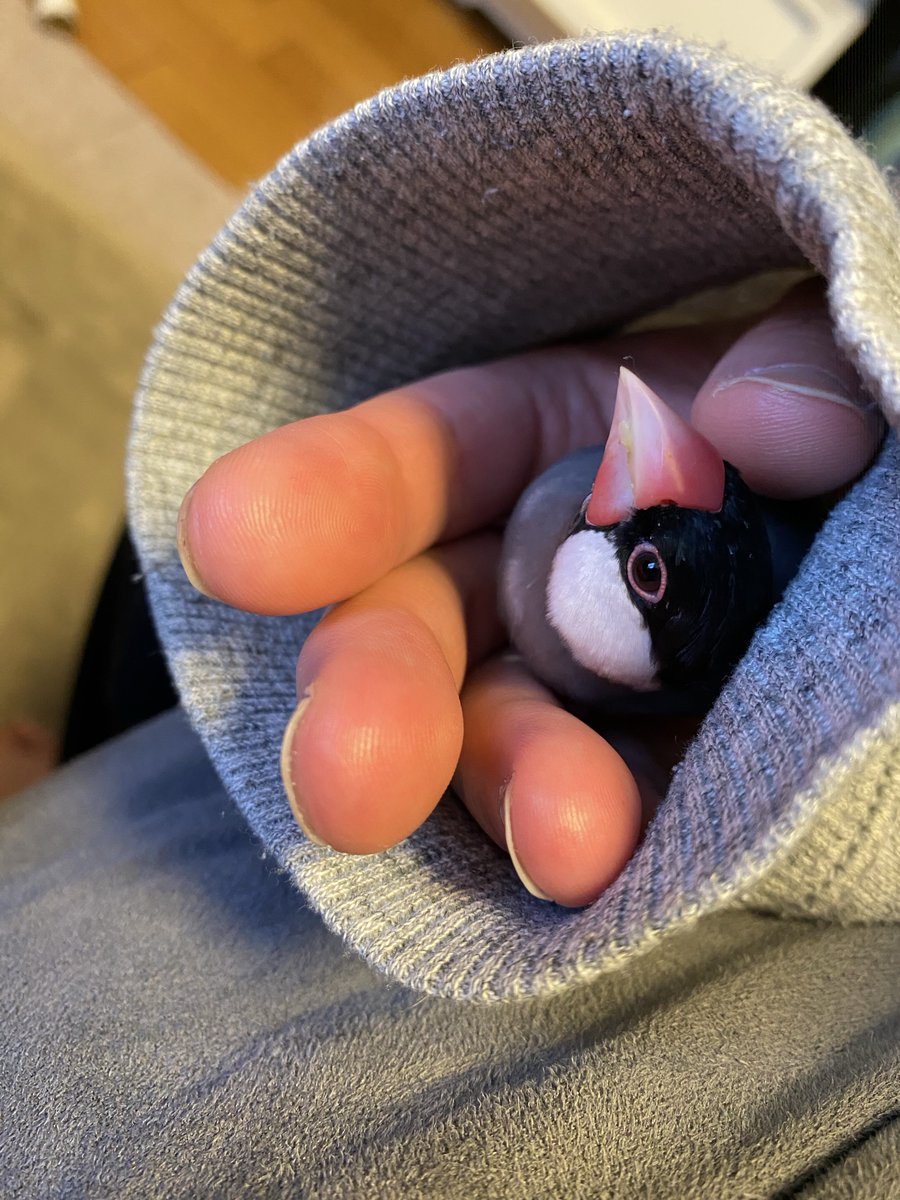 うみ様♡専用 W🌺💙 @wkohsamui #samui #thai #thailand #pool #bikini #trip