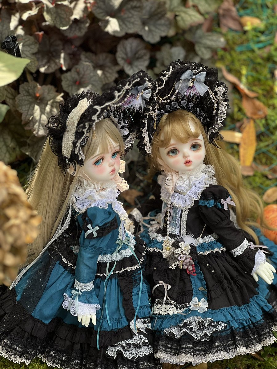 25년 햇 젤라또 당도최고🍨