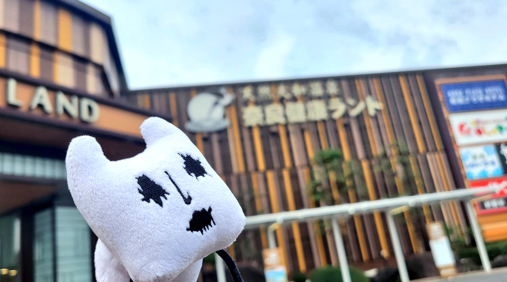 ③猫の日♡限定m(=✧ω✧=)m✧ ✧ ✧ 白猫♡白猫　猫ひな人形 ②猫の日♡限定m(=✧ω✧=)m✧ ✧ ✧