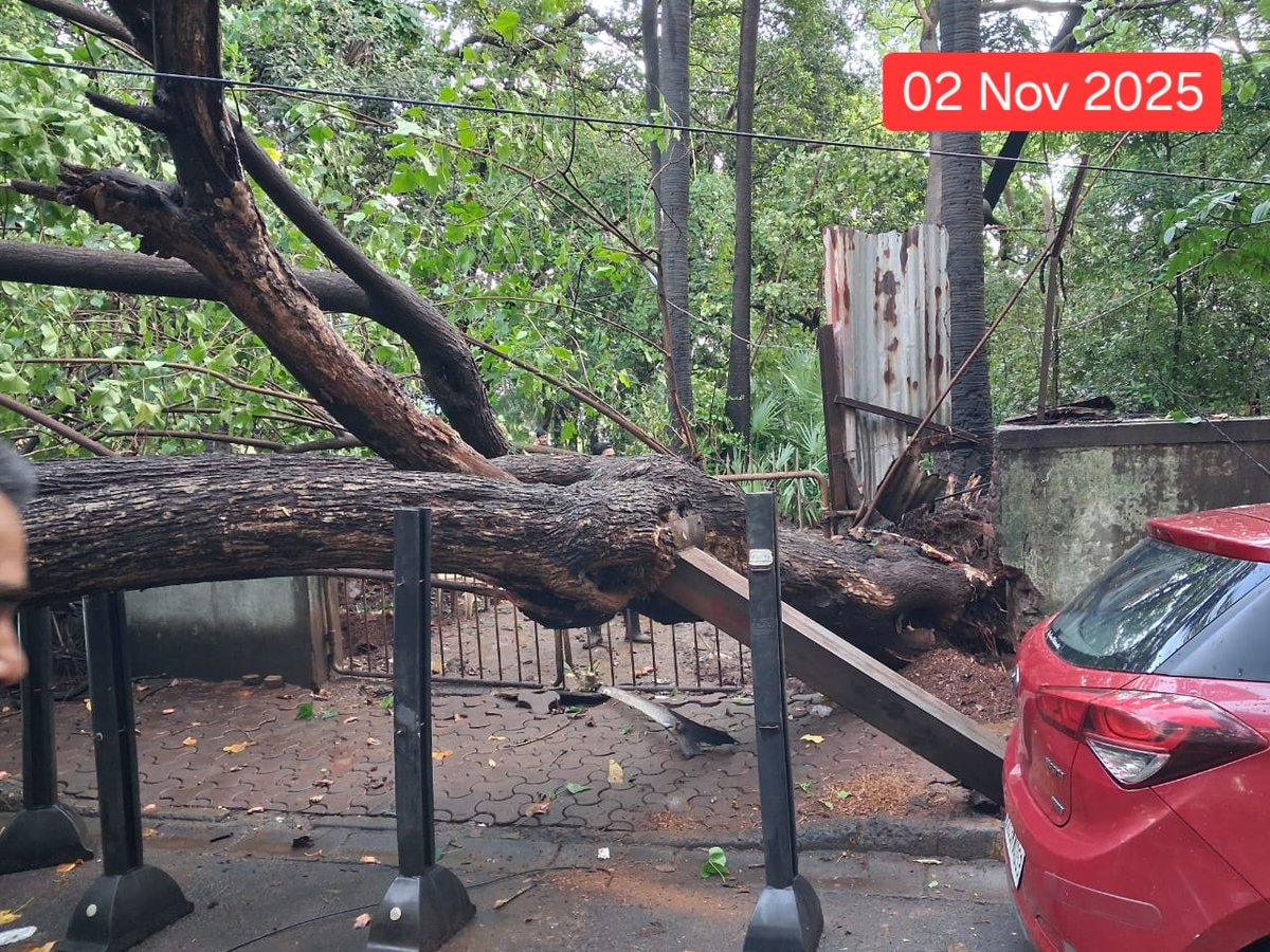 How to de-green Mumbai

1- take JCB
2- dig around roots
3- wait for tree to fall

(get caught if it falls the next day
get away with it if it takes longer)

Hello <a href="/mybmcWardD/">WARD D BMC</a> 
This is Childrens Park plot, Carmichael Road

Kindly take strict action against these wrongdoers