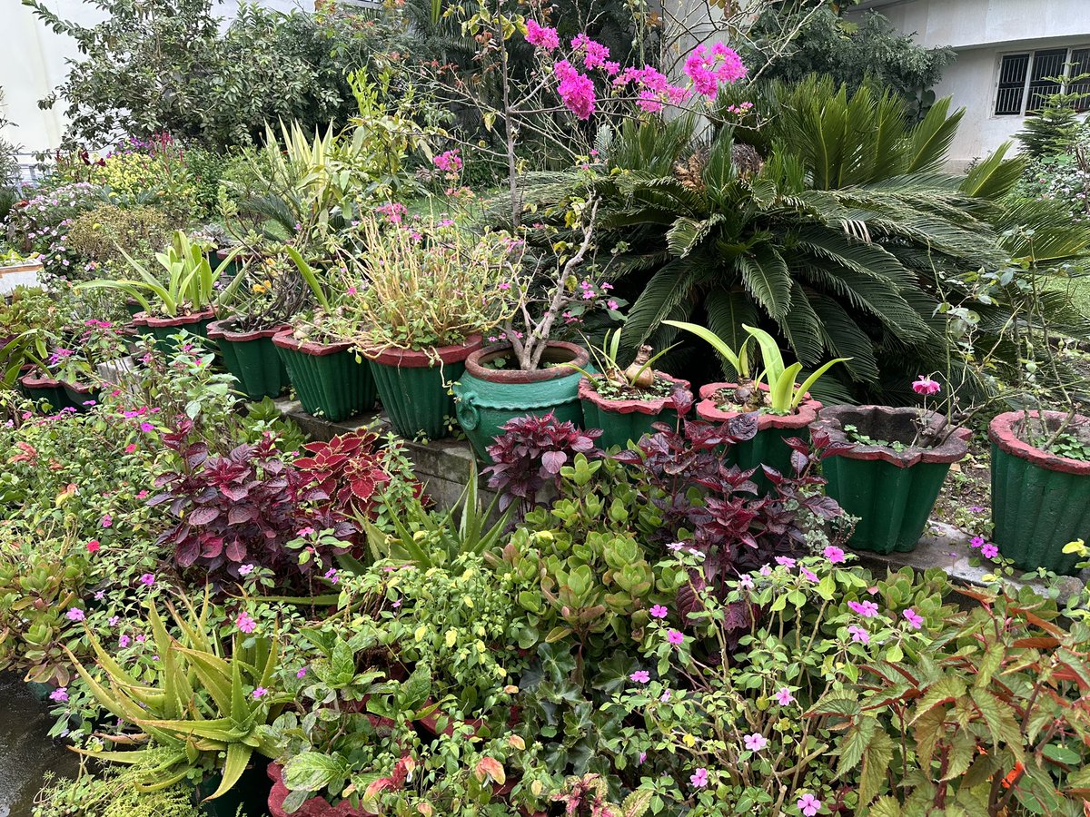 <a href="/kathy_husser/">Kathy Husser</a> Have a great Sunday!