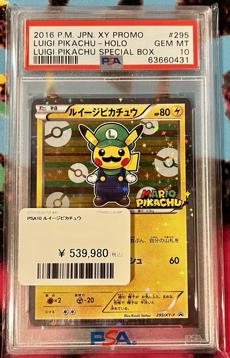 グラードン　10枚 最安値【匿名配送】PSA10 グラードン EX SR 073/070 グラードン