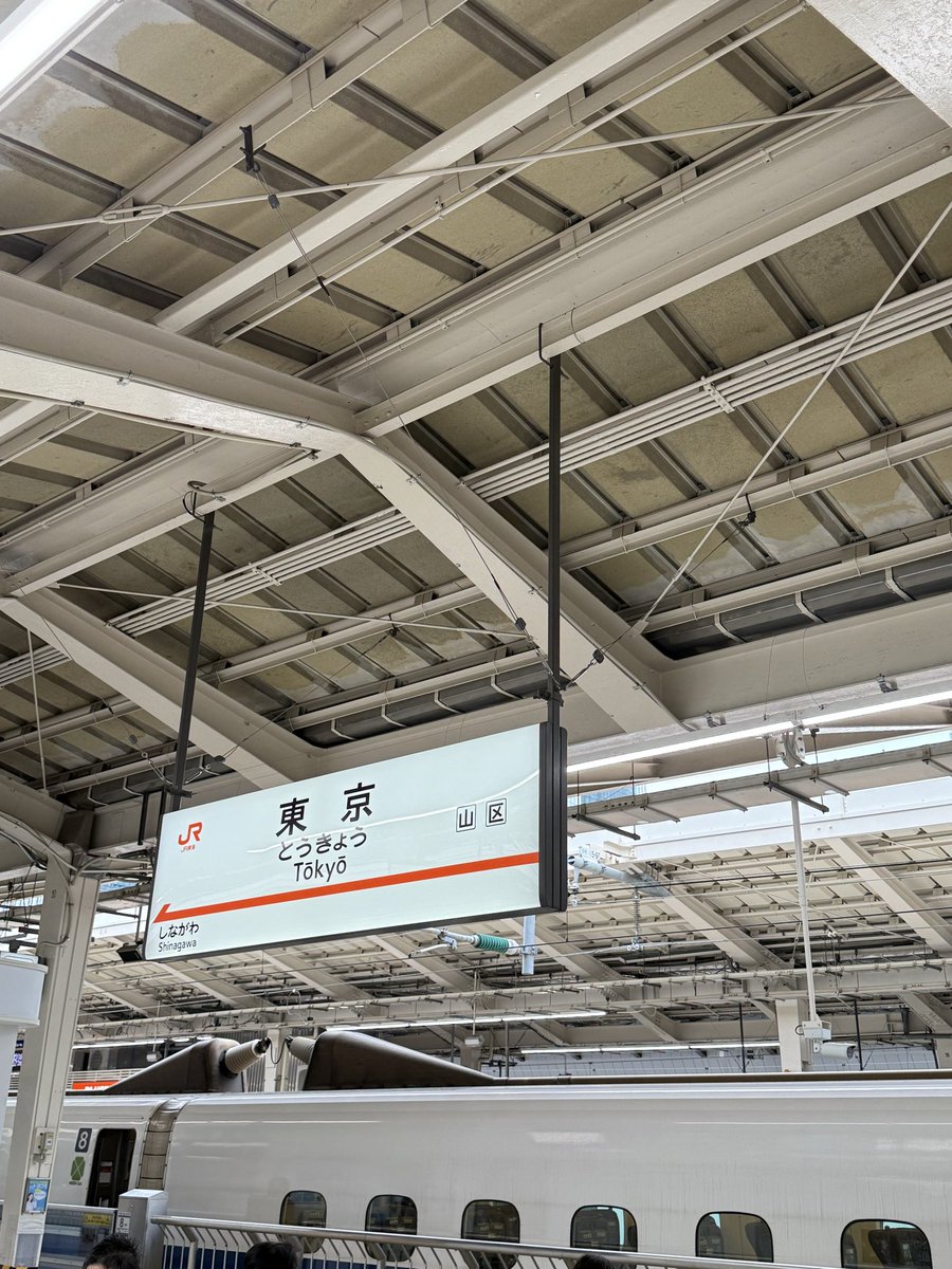 Lycoris.さま専用ページ リコリス on X