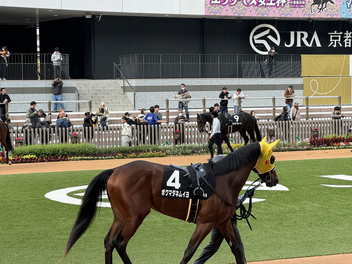 ユタデュー🐎 (@ODOUKUN) / Posts / X