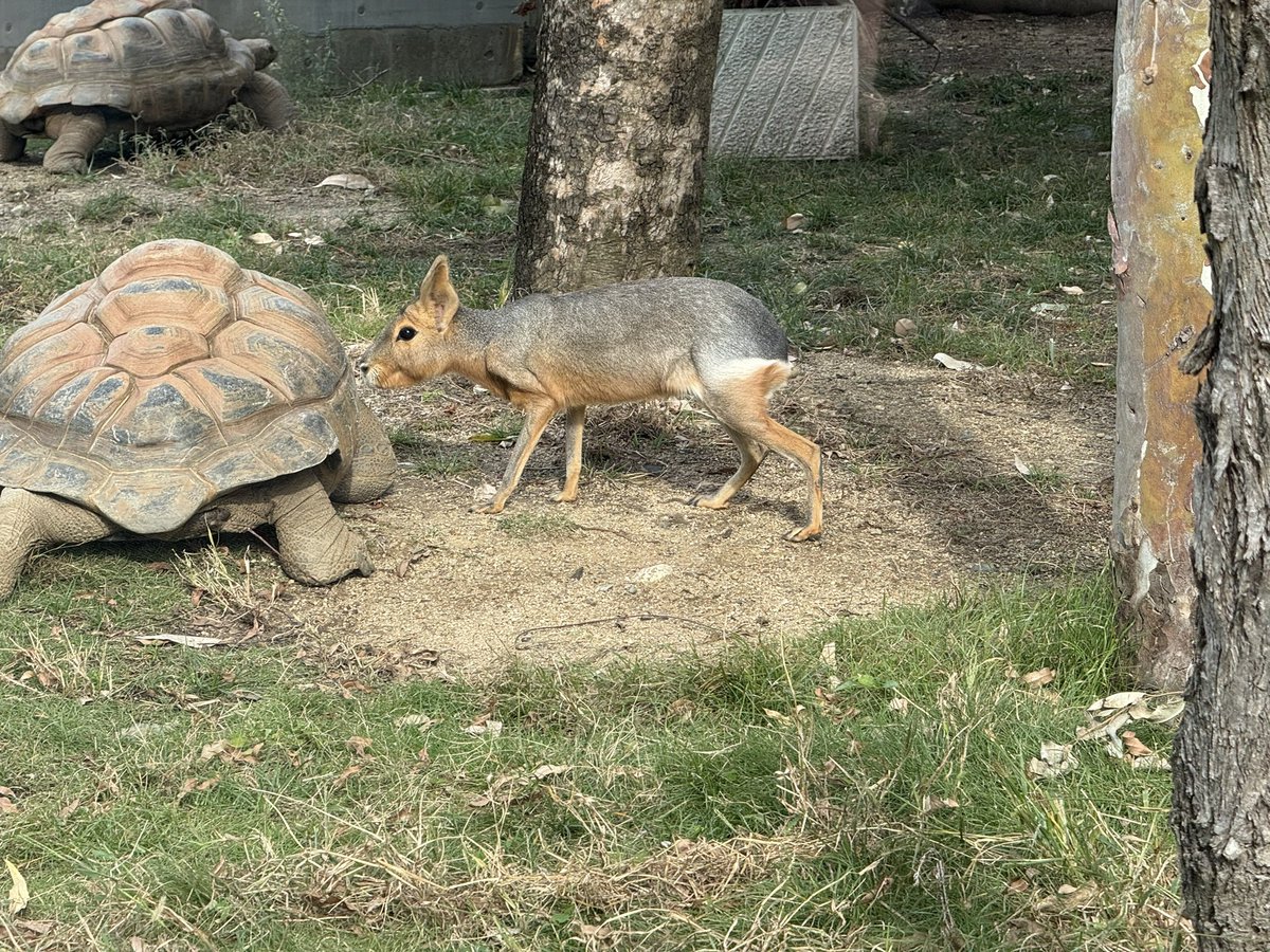 みくま@1日目 n-38b on X