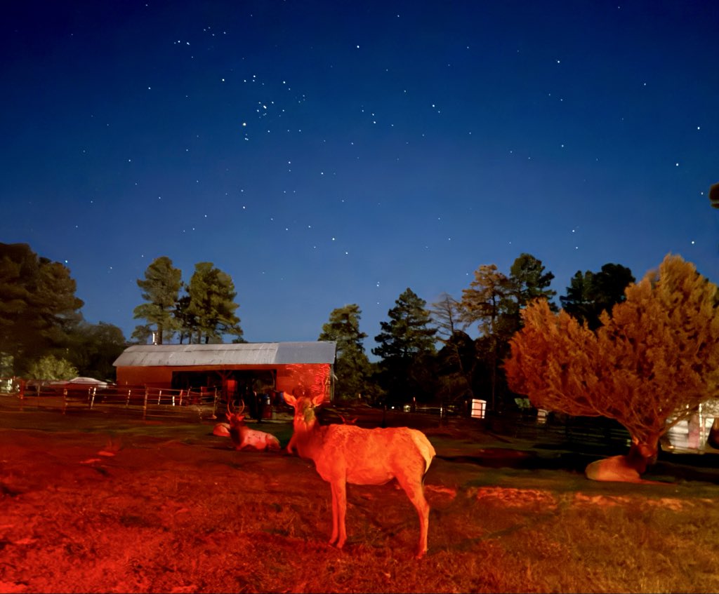 Chasing_Polaris's tweet image. 