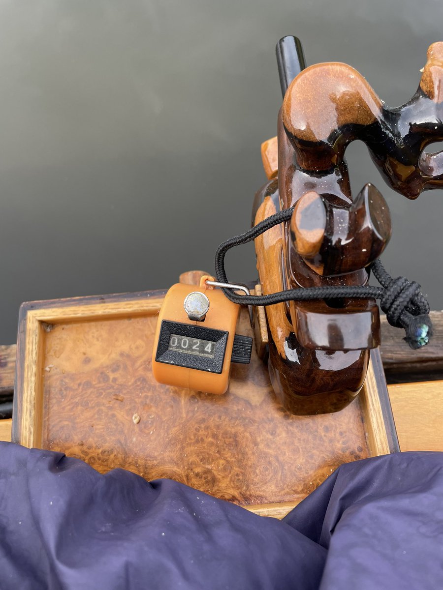 琴掛け柳 おがっち on X