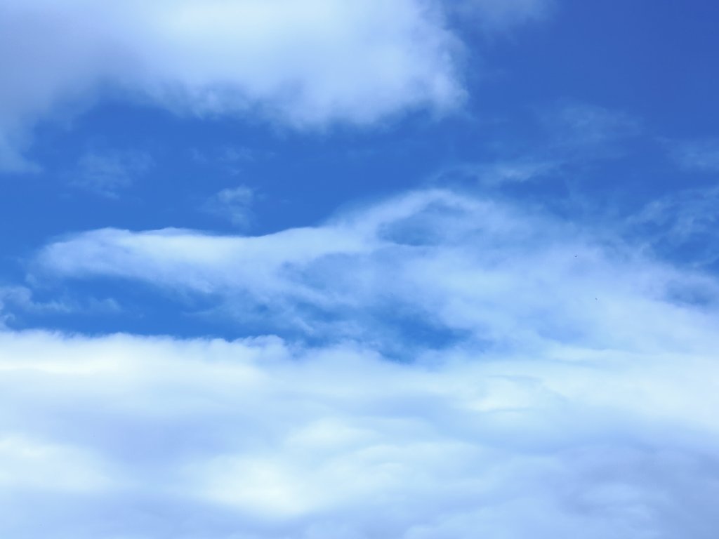 龍みたいな雲🐉