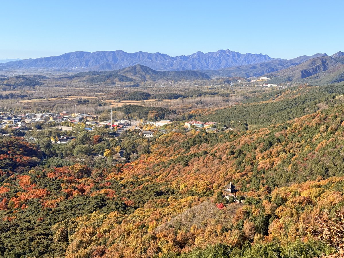 Depois de subir mais de 100 lances de escada, descobri que o lugar mais bonito ficava na floresta antiga aos pés da mont