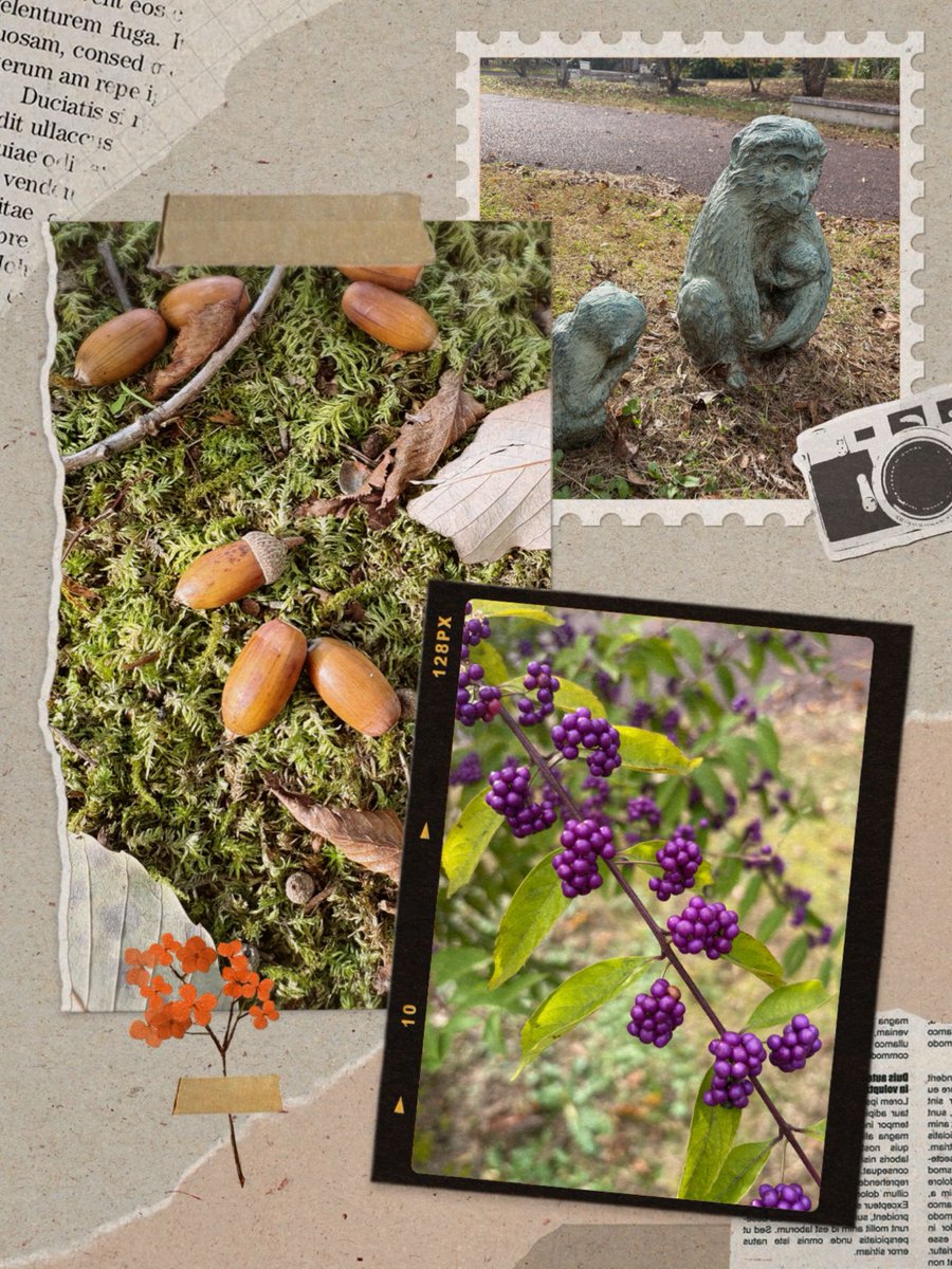 Books葵様 アオハライド 1／阿部 暁子／咲坂 伊緒 | 集英社 ― SHUEISHA ―