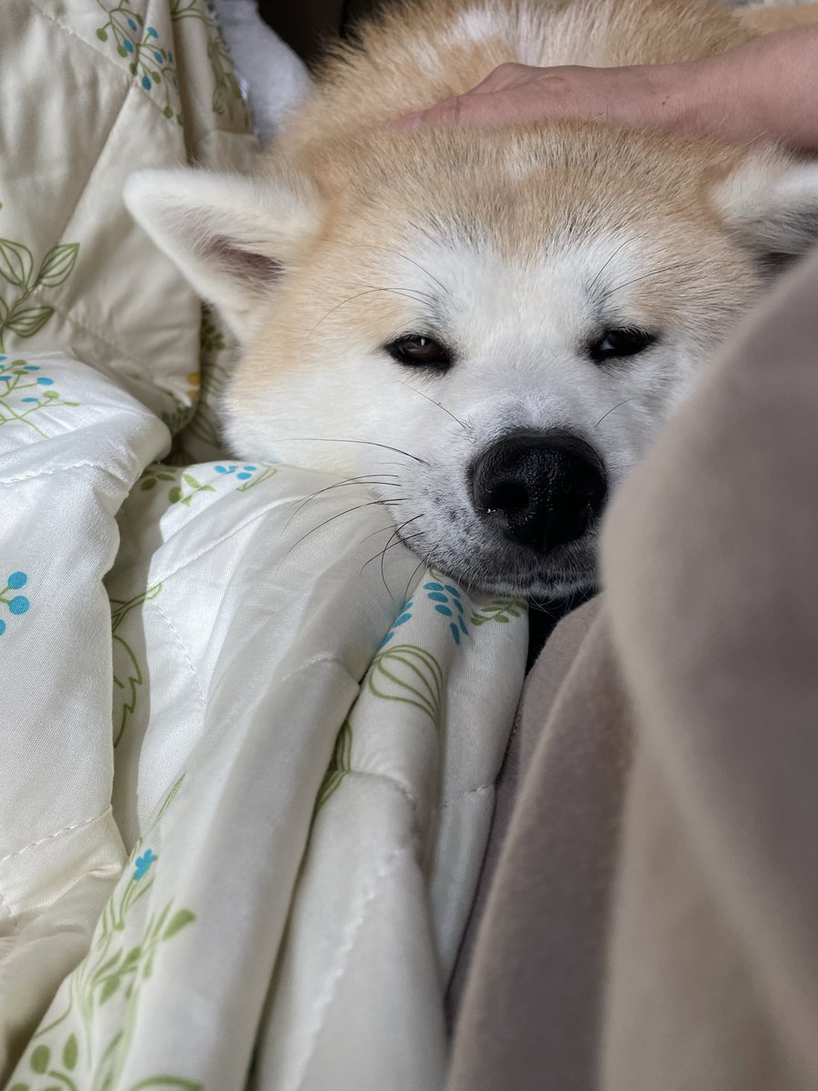 そう さま　ご相談ページ ⓢ (@3s7n3d) / Posts / X