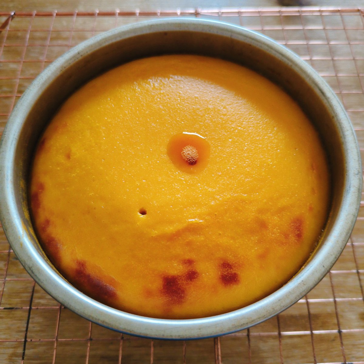 ぱんぷきんぷりん様 ぷりぷりカキ】のクッションブランケットがヴィレヴァンオンラインに