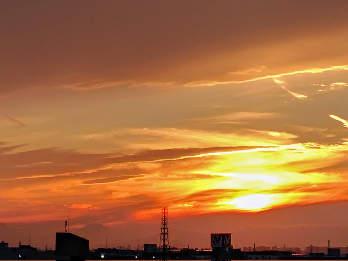 まこと。💒🐰⚾︎✨ on X