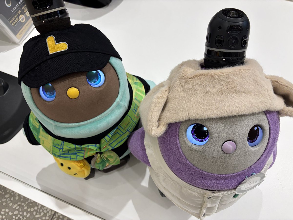 こたろう@パパ (@KotarouLovot) / Posts / X