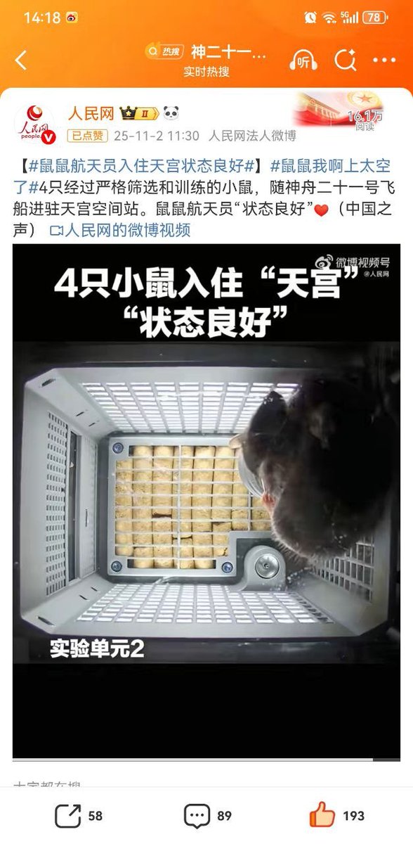 鼠鼠我啊 tweet media