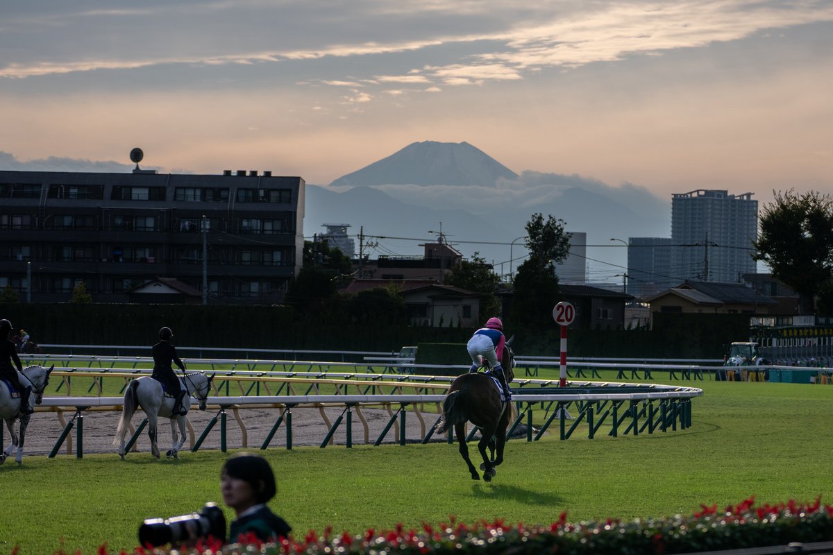 raku.です AZONE INTERNATIONAL::えっくす☆きゅーと::商品詳細