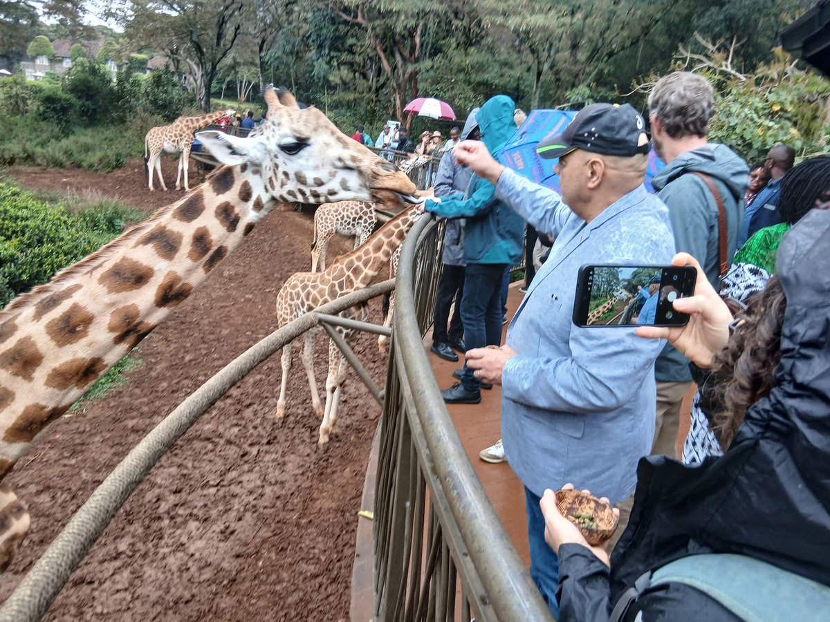 Bol Deng Bol 🇸🇸 tweet media